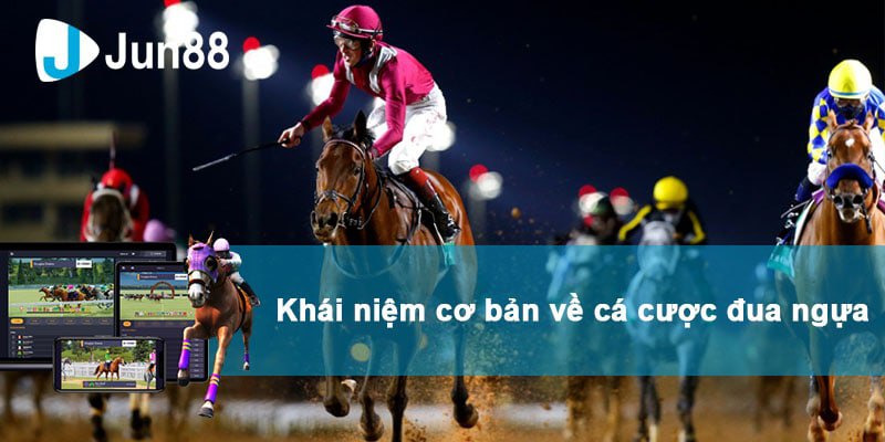 Các loại kèo đua ngựa phổ thông bạn có biết?