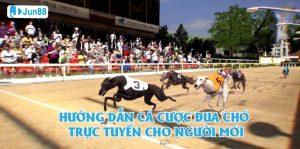 Khám Phá Về Cá Cược Đua Chó