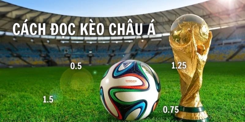 Chia sẻ cách đọc cược chấp đơn giản dễ nhớ cho mọi tân thủ